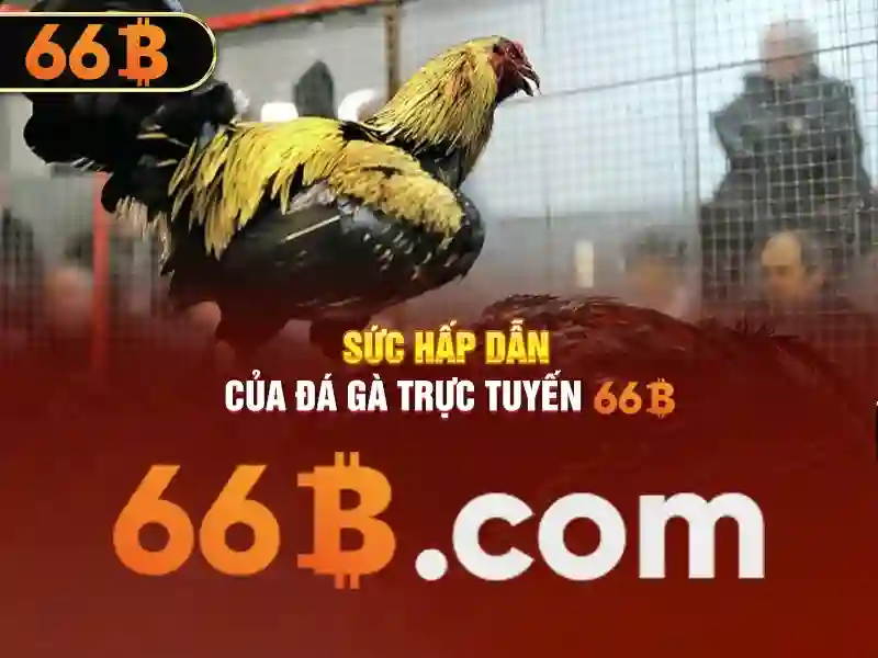 Đặc điểm nổi bật