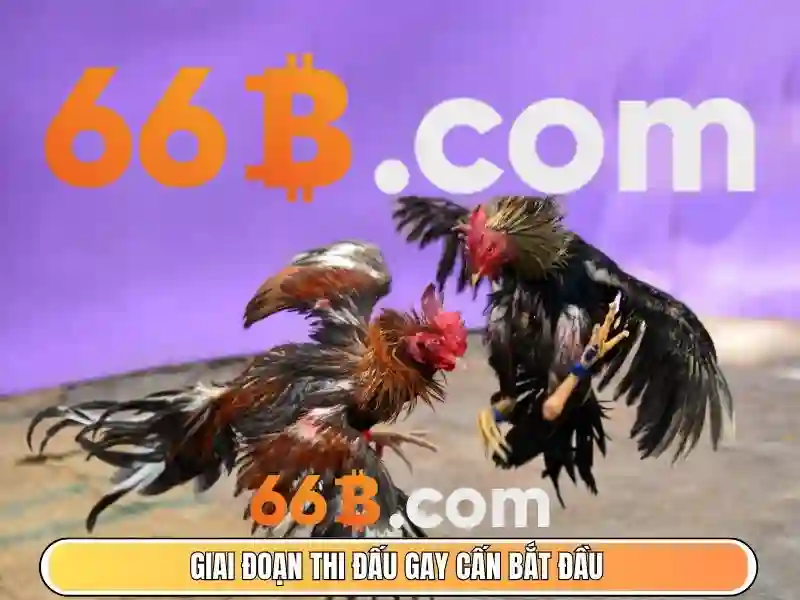 Việt Vị Trong Bóng Đá
