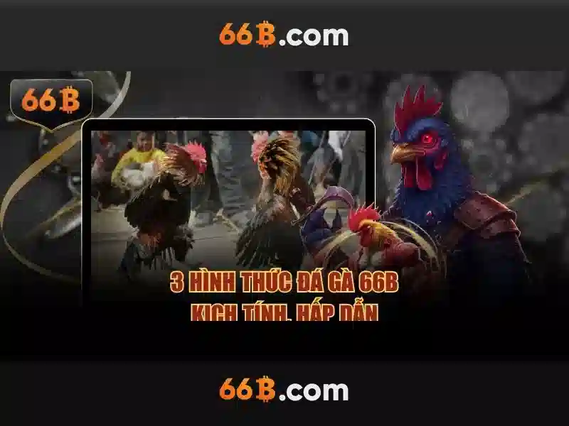 Sản phẩm và dịch vụ cốt lõi: ứng dụng thực tế của sân cầu 66b triều khúc