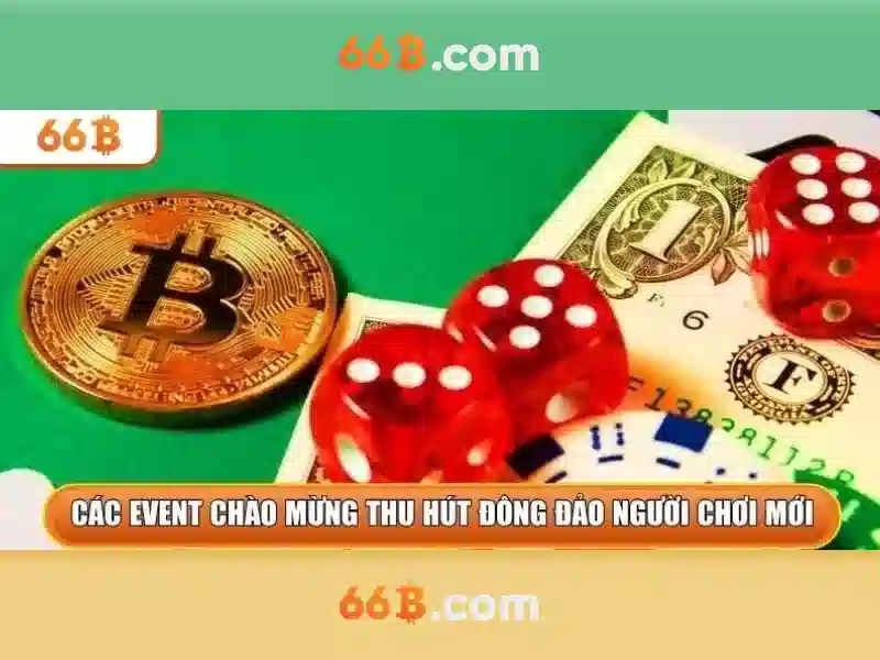 Kích thước 66B là gì?