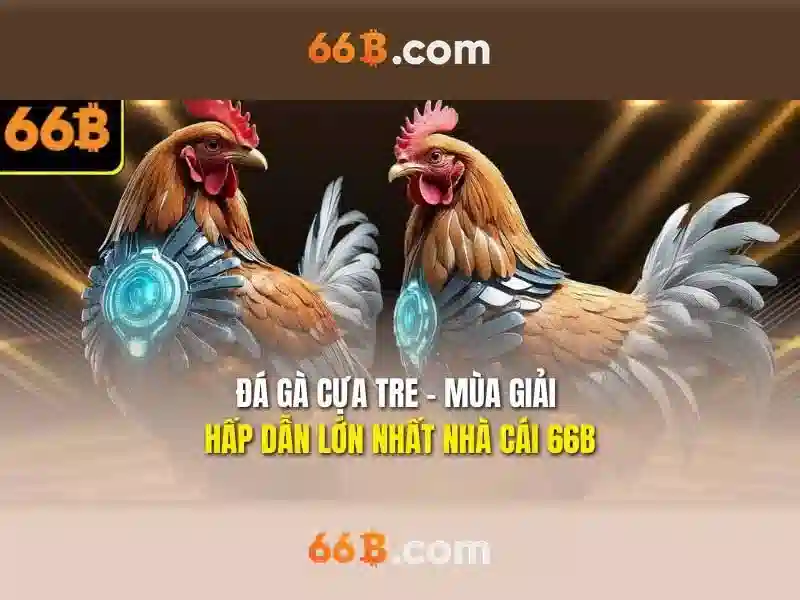 Trải nghiệm người dùng và cộng đồng