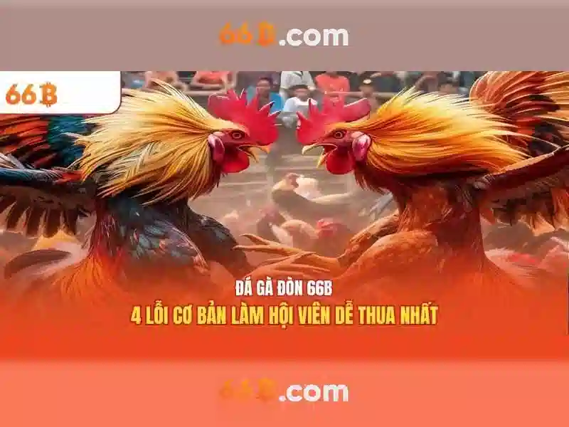 Khái niệm cơ bản về 66b