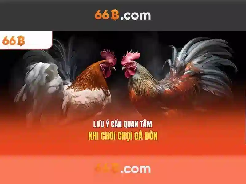 Khả năng và ứng dụng