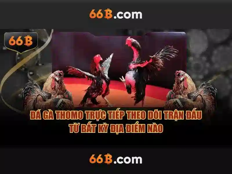 Ứng dụng thực tiễn