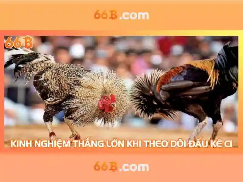 Cấu trúc và tham số\n\n
