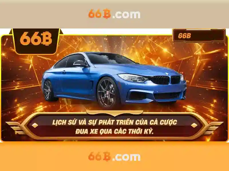 66B là gì\n