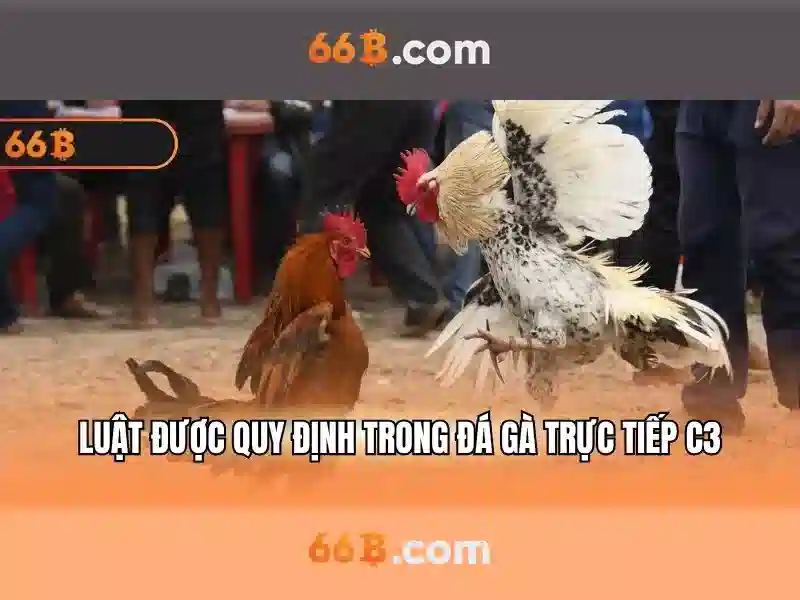 Trai nghiem link du phong 66b va phan hoi