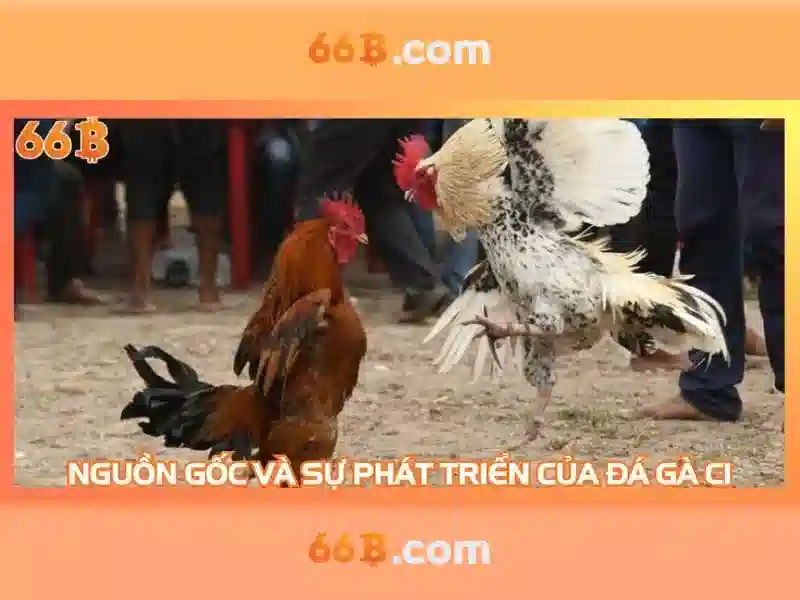 66b trong công nghệ và toán học hiện đại