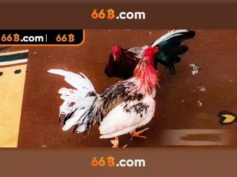 Việt Vị Trong Bóng Đá