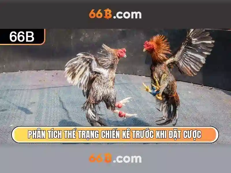 Việt Vị Trong Bóng Đá