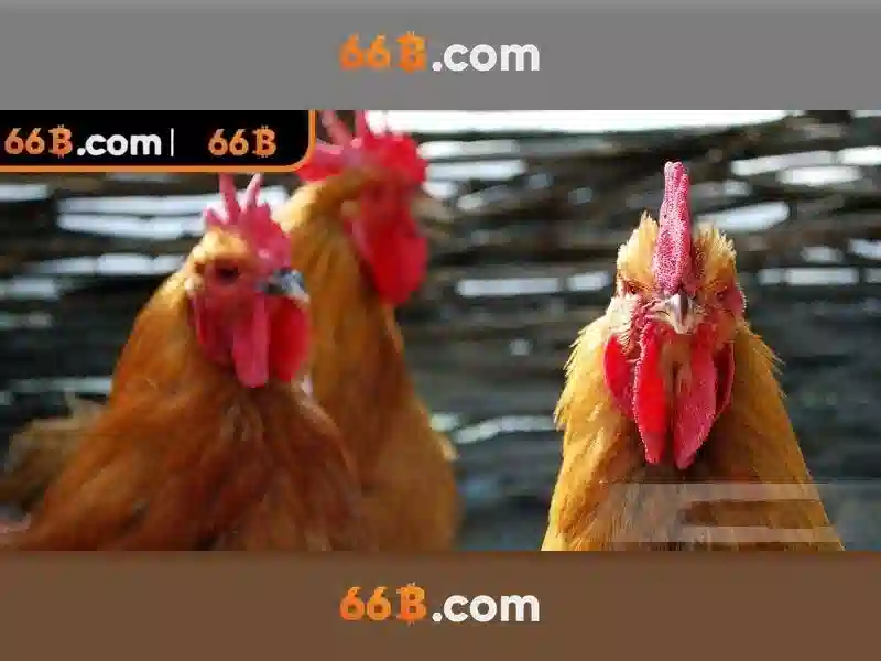An toàn và đạo đức trong AI