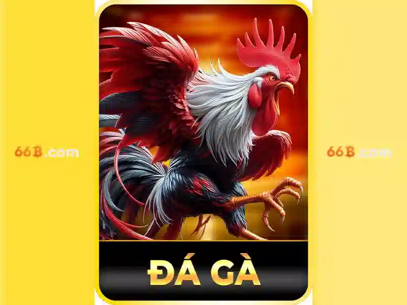Kích thước và tham số của 66B