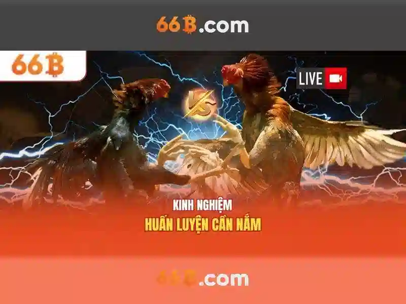 Triển vọng và thách thức