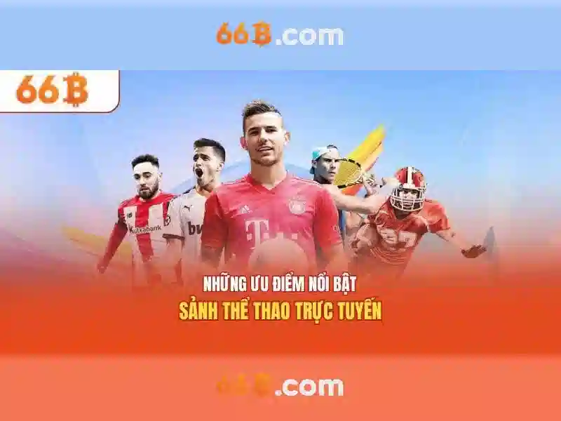 Khái niệm cơ bản về 66b