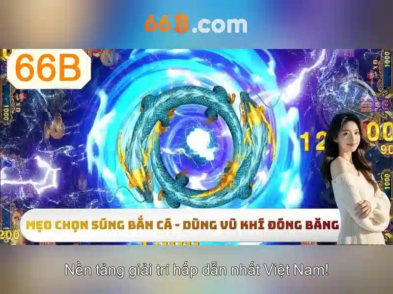 Cấu hình và quy mô