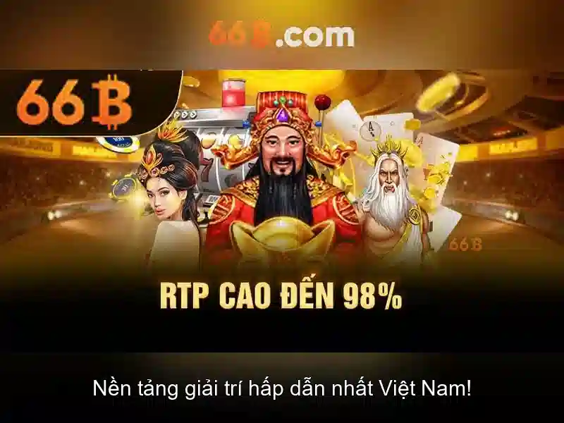 66B là gì?\n