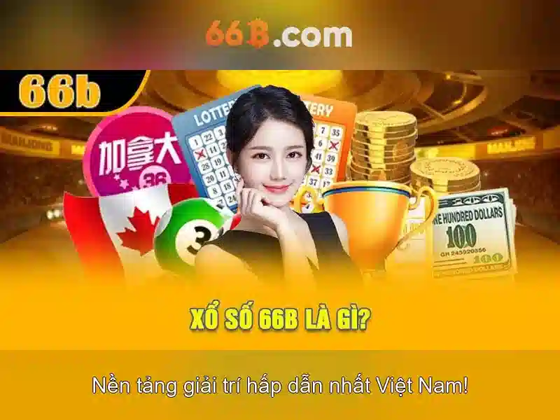 66b là gì\n