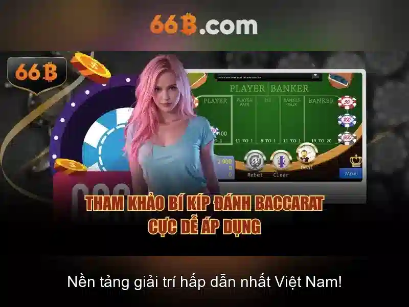 Kích thước và kiến trúc 66B