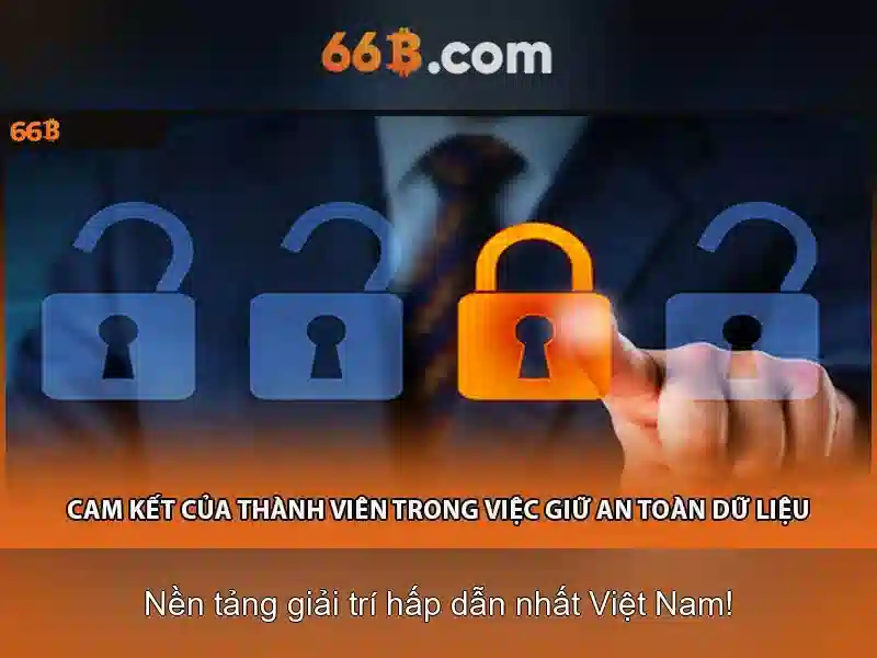 Đặc điểm nổi bật của 66b