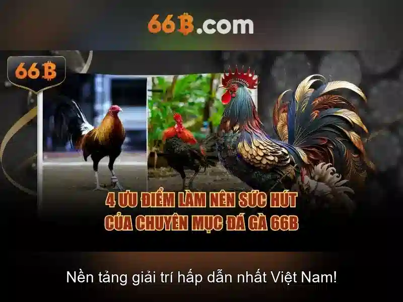 Bull Bull trực tuyến