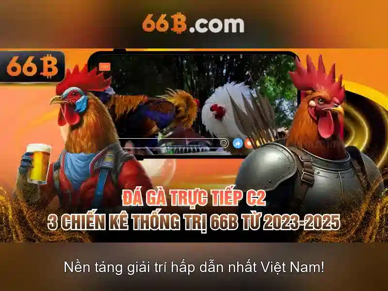 Giới thiệu về 66B\n