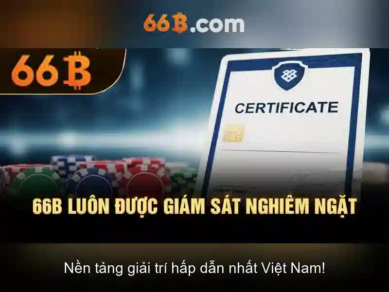 Trải nghiệm người dùng và phản hồi từ cộng đồng\n