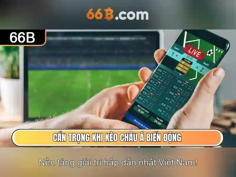 Đánh giá và triển khai trong tổ chức