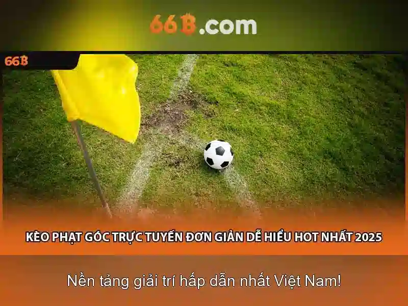 66b là gì?
