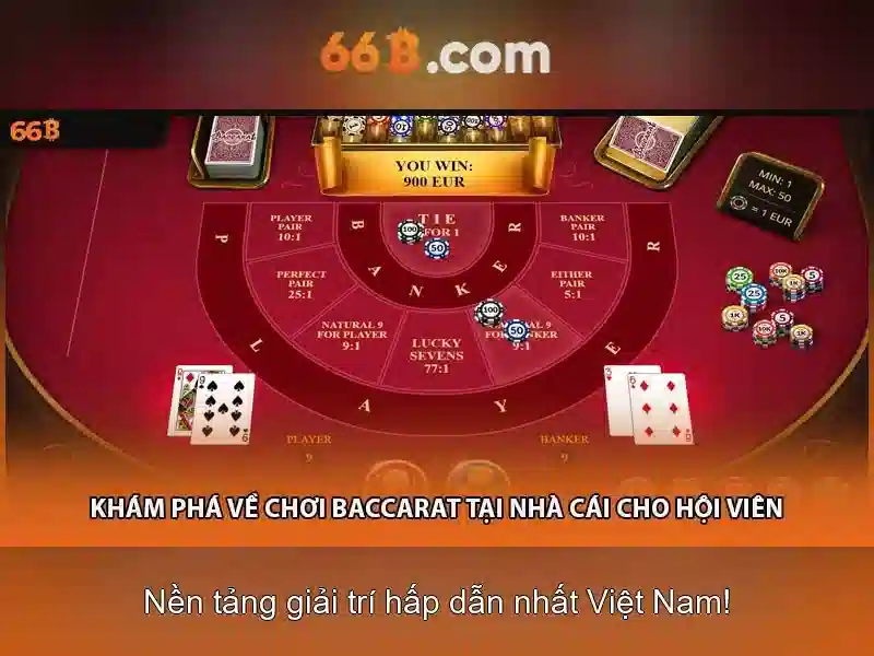 66B là gì và tại sao nó quan trọng