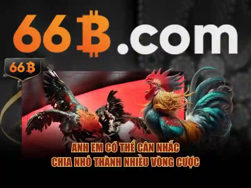 Lịch sử và nguồn gốc của 66b