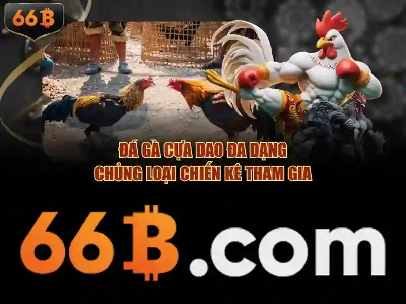 Hình minh họa kênh liên hệ 66b