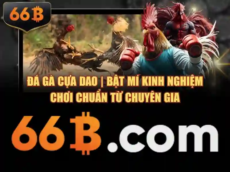 Việt Vị Trong Bóng Đá