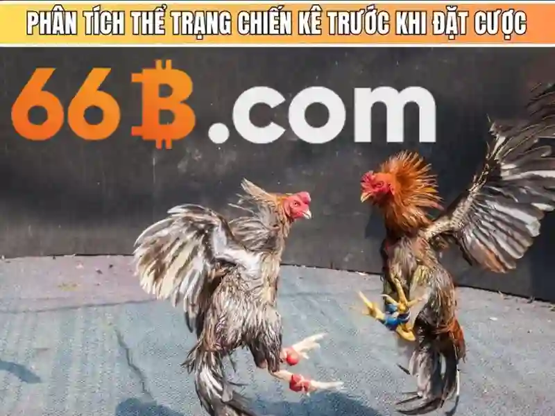 Việt Vị Trong Bóng Đá