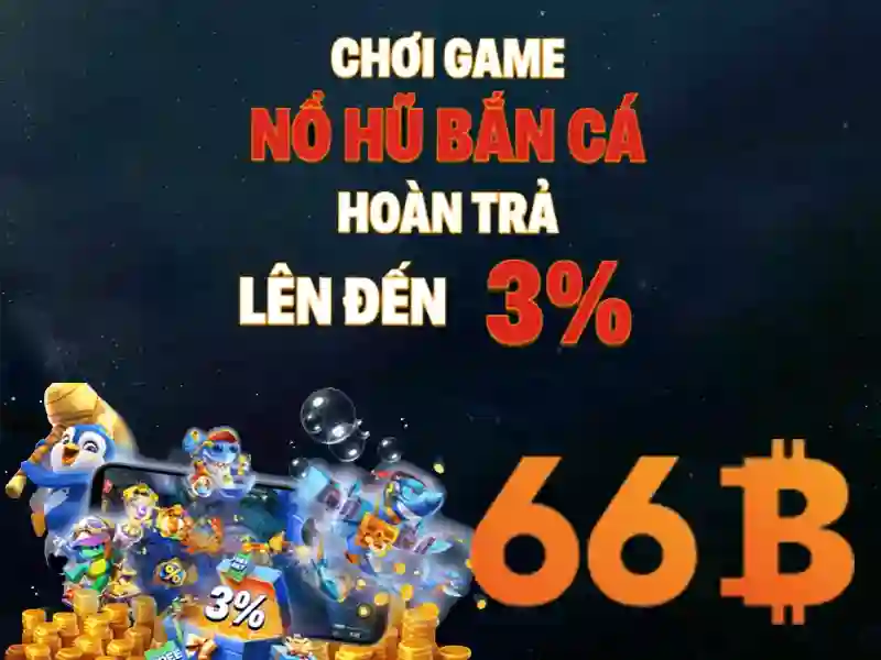 Tổng quan về 66b hoàn tiền