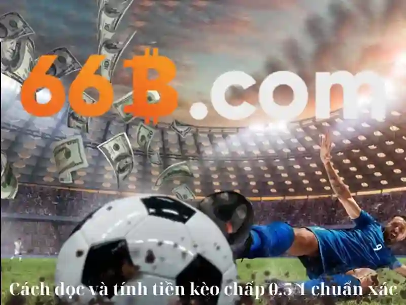Ứng dụng của 66B trong thực tế