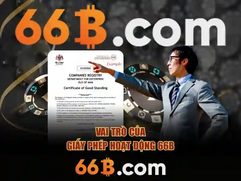 Khái niệm 66B