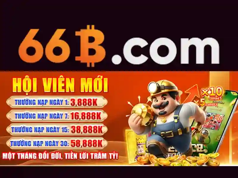 sources shein shein 66b may – Tổng quan chủ đề và giá trị cốt lõi